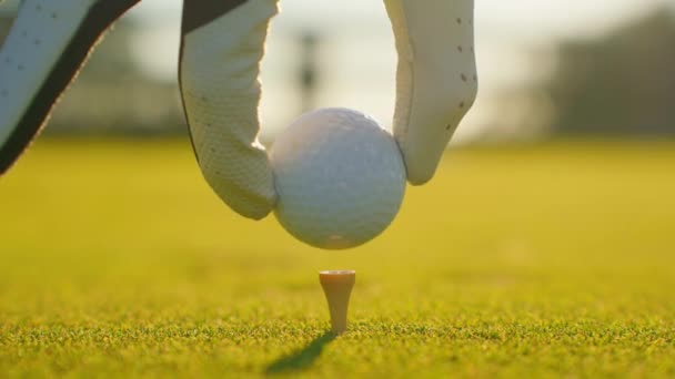 Golfista Colocar Pelota Golf Tee Campo Golf Cerca Personas Deporte — Vídeos de Stock