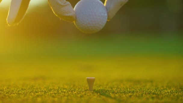 Golfista Mettendo Pallina Golf Sul Tee Campo Golf Chiudete Persone — Video Stock