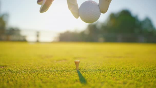 Golfer Platziert Golfball Auf Dem Abschlag Golfplatz Aus Nächster Nähe — Stockvideo