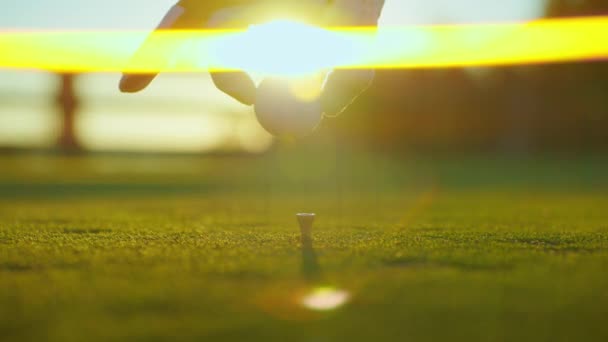 ゴルファーはゴルフコースでティーにゴルフボールをかける クローズアップ スポーツ レジャー レクリエーション ライフスタイル — ストック動画