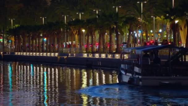 Luzes Brilhantes Cidade Noturna São Refletidas Água Hora Escura Dia — Vídeo de Stock