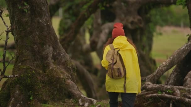 Macchina Fotografica Rallentatore Segue Donna Escursionista Impermeabile Giallo Con Zaino — Video Stock