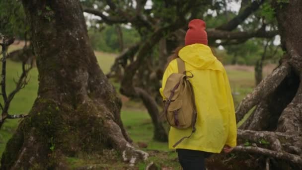 Cámara Cámara Lenta Sigue Mujer Excursionista Impermeable Amarillo Con Mochila — Vídeos de Stock