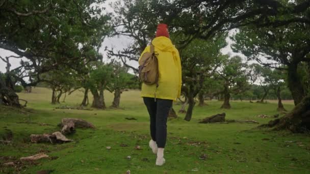 Ein Reisender Gelber Jacke Hut Und Rucksack Läuft Über Eine — Stockvideo