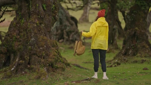 Podróżnik Żółtej Kurtce Kapeluszu Plecaku Spaceruje Rajskiej Wyspie Aktywna Młoda — Wideo stockowe