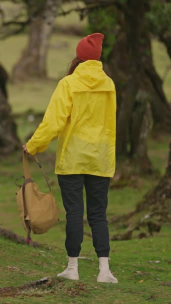 Cámara Cámara Lenta Sigue Mujer Excursionista Impermeable Amarillo Con Mochila — Vídeo de stock