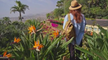 Gezgin, Madeira ve Funchal şehrinin çeşitli bitki örtüleriyle birlikte tarihi bir bahçeyi ziyaret ediyor. Botanik bahçesinde renkli çiçekler arasında yürüyen şapkalı ve sırt çantalı bir kadın..