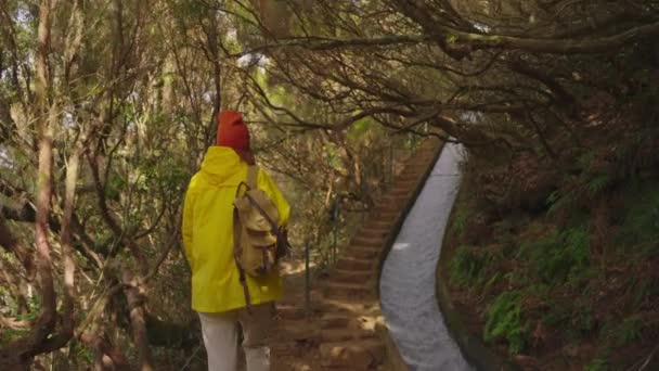 Mulher Viajante Caminhante Uma Capa Chuva Amarela Perto Cachoeira Nas — Vídeo de Stock
