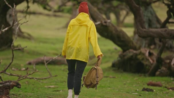 Sırt Çantası Sarı Yağmurluğu Olan Bir Kız Gezgin Mistik Ormanda — Stok video
