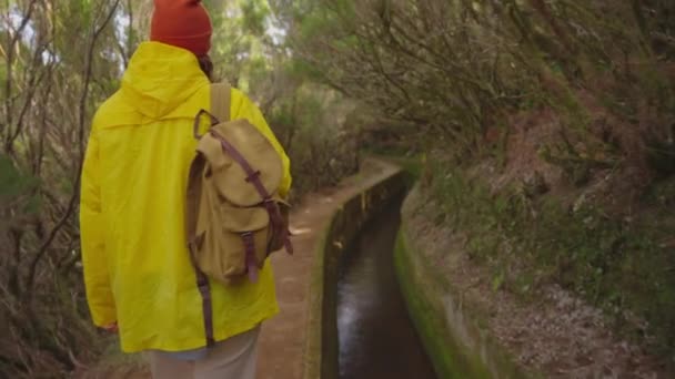Cámara Sigue Mujer Excursionista Con Mochila Caminante Viajero Disfruta Naturaleza — Vídeo de stock