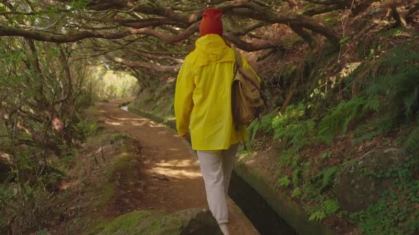 Kamera Kadın Yürüyüşçüyü Sırt Çantasıyla Takip Ediyor Gezgin Yürüyüşçü Doğa — Stok video