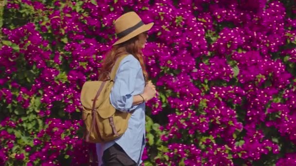 Dziewczyna Podróżnik Plecakiem Kapelusz Spacery Wzdłuż Malowniczej Ściany Pięknymi Purpurowymi — Wideo stockowe