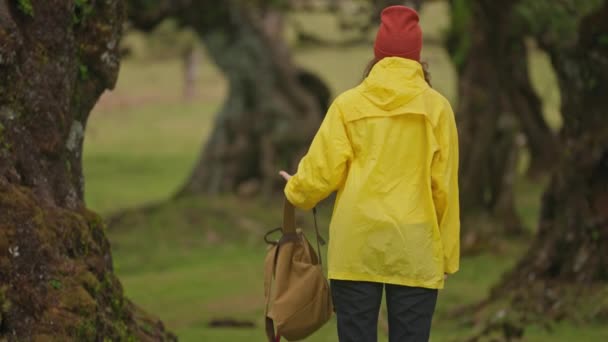 배낭과 노란색 비옷을 여행자는 신비한 Fanal Madeira 포르투갈 — 비디오