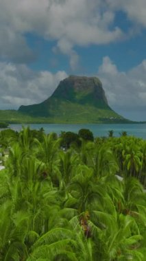 Hava manzaralı tropikal plaj, canlı resif, su gökyüzü ve Mauritius 'taki Le Morne dağı. Hint Okyanusu 'ndaki bir su altı şelalesinin hava görüntüsü..