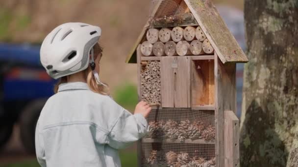 Маленькая Красивая Девочка Подходит Отелю Насекомых Смотреть Насекомых Пчел Открытом — стоковое видео