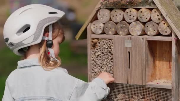 Mała Piękna Dziewczyna Podchodzi Hotelu Insektów Oglądając Owady Pszczoły Świeżym — Wideo stockowe