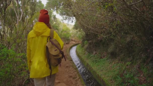 相机跟着带背包的女徒步旅行者 徒步旅行者 享受大自然和生活 在山上旅行 在旅途中冒险 生活方式的概念 在马德拉的山路上行走的女人 — 图库视频影像