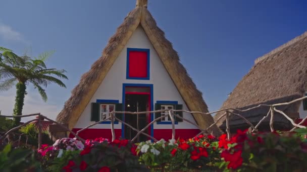 Extraordinary Traditional Shaped Houses Santana Portugal Madeira — Stock Video
