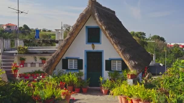 Необычные Традиционные Дома Форме Сантане Португалия Мадейра — стоковое видео