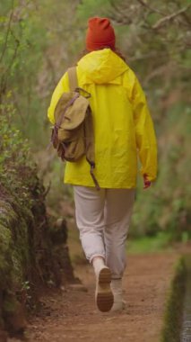 Sarı ceketli bir kız sırt çantasıyla seyahat eder ve Portekiz 'in Madeira, Levada dos Tornos adasında sıradışı yerleri ve yolları ziyaret eder. Dikey video.