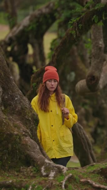 Вертикальне Відео Дівчина Мандрівник Рюкзаком Жовтим Плащем Прогулюється Містичним Лісом — стокове відео
