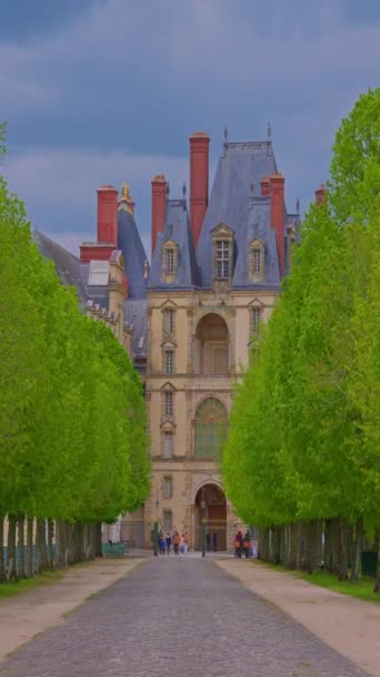 Vista Aérea Castelo Fontainebleau Escada Rei Castelo Real Fontainebleau França — Vídeo de Stock