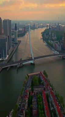 Hollanda 'daki Rotterdam şehrinin havadan görüntüsü. Varış yeri Hollanda. Erasmusbrug ve nehir Maas şehir manzarası gün batımında.