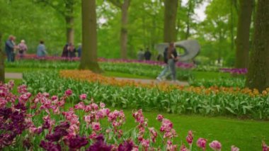 Lisse, Hollanda, 8 Mart 2024: Dünyanın en büyük çiçek bahçelerinden biri. İnsanlar Keukenhof çiçek bahçesinde renkli laleleri severler. Çiçek bahçesi ve çiçek açan lale çiçekleri..
