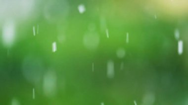 Pencerenin dışındaki kar yağışı, yeşil ormanı görkemli bir kar örtülü ağaç ve beyaz örtüye dönüştürüyor. Kış hissi: Kertenkele ve kar yağışı soğuk ve kış atmosferleri ekler.