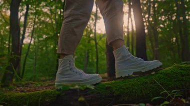 Sonbahar ormanında düşen bir ağaç kütüğünde yürüyen ayaklar..