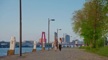 Rotterdam, Hollanda, 23 Haziran 2024: Rotterdam kentinde rıhtım.