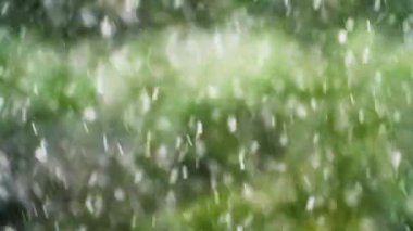 Pencerenin dışındaki kar yağışı, yeşil ormanı görkemli bir kar örtülü ağaç ve beyaz örtüye dönüştürüyor. Kış hissi: Kertenkele ve kar yağışı soğuk ve kış atmosferleri ekler.