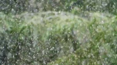 Pencerenin dışındaki kar yağışı, yeşil ormanı görkemli bir kar örtülü ağaç ve beyaz örtüye dönüştürüyor. Kış hissi: Kertenkele ve kar yağışı soğuk ve kış atmosferleri ekler.