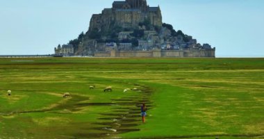 Fransa 'nın Normandiya kentindeki güzel şatonun yakınındaki çayırların ve tarlaların manzarası.