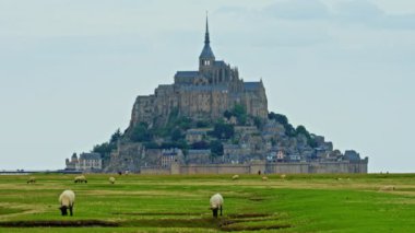 Üzerinde koyunlar olan yeşil çayırlar dünyanın en ünlü şatosu Saint Mont Michel 'in arka planında yürüyorlar. Fransa.