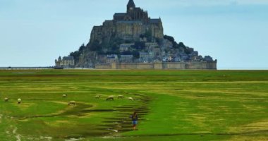 Fransa 'nın Normandiya kentindeki güzel şatonun yakınındaki çayırların ve tarlaların manzarası.