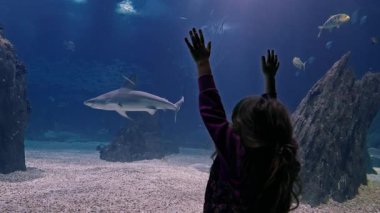 Oceanarium 'a seyahat ederken köpekbalığı su hayvanlarıyla dolu büyük cam tanka dokunan çekici bir kız..