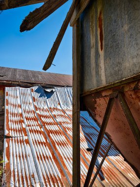 A corrugated tin roof is rusting at the farm buildings of the Northern State Hospital in Washington State.
