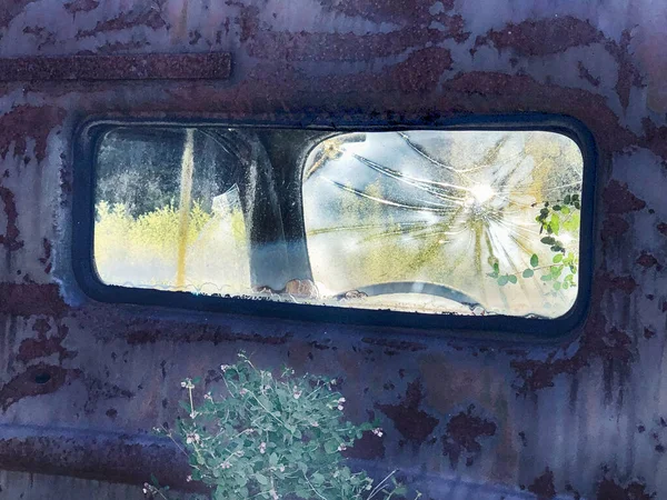 Looking through the back window of an old pickup truck, sunlight streams in through the shattered front windshield.