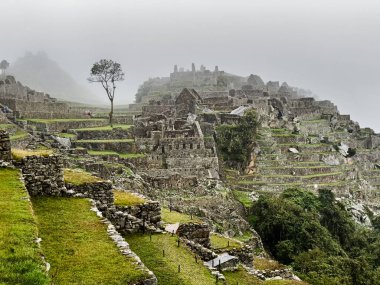 Bulutlu bir günde, antik Machu Picchu şehrinin taş terasları ve binaları sisin içinden ortaya çıkar..