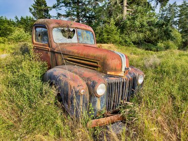 Eski, terk edilmiş bir kamyon San Juan Adası 'ndaki bir tarlada paslanıyor..