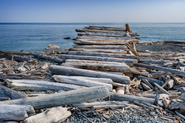 Büyük kütükler, San Juan Adası 'ndan Puget Sound' un sularına bakan bir ağaç barınağının çatısını oluşturur..