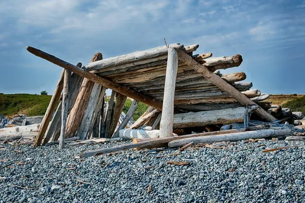 stock image An impressive, large lean-to structure made with large driftwood logs rises above a pebbled beach on San Juan Island.