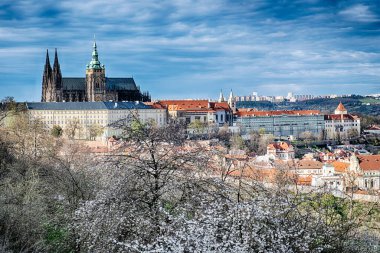 Prag şehrine bakan Petrin Parkı 'ndan St. Vitus Katedrali ve Hradcany manzarası.