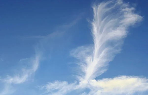 Wispy Vertical Cirrus Clouds Bright Blue Summer Sky — Stock Photo, Image