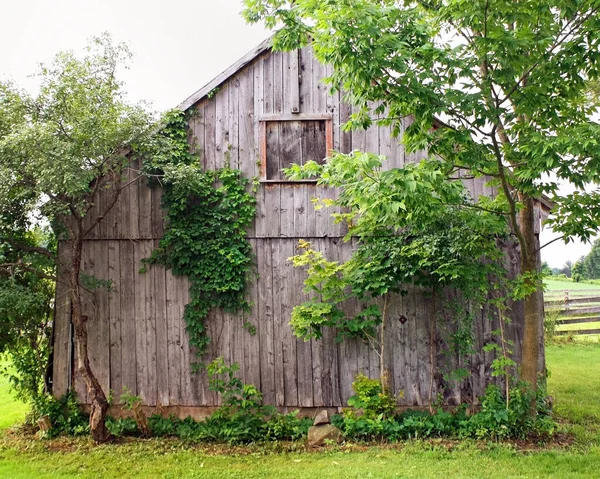 Old Rustic Farm Barn Need Repair — Stock Photo, Image