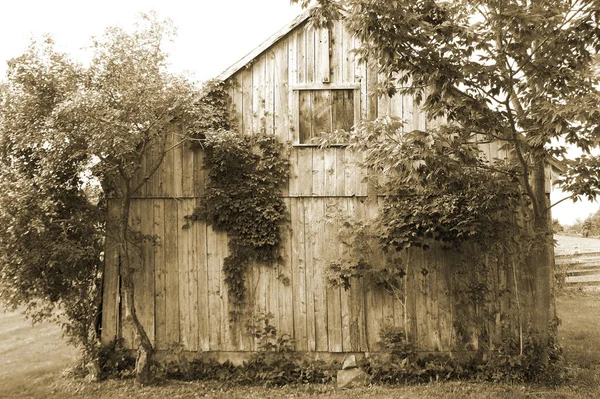 Old Rustic Farm Barn Need Repair Done Sepia Tone — Stock Photo, Image