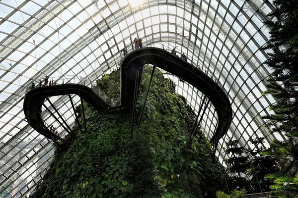 Singapour Mai 2022 Vue Journalière Forêt Nuageuse Dans Les Jardins — Photo
