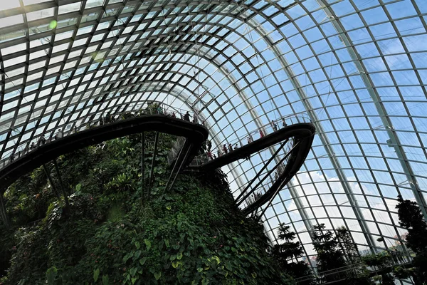 Singapur Mayo 2022 Vista Día Del Bosque Nuboso Gardens Bay — Foto de Stock
