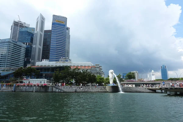 Singapore November 2022 Сінгапурські Duckours Привозять Туристів Одногодинну Сухопутну Морську — стокове фото